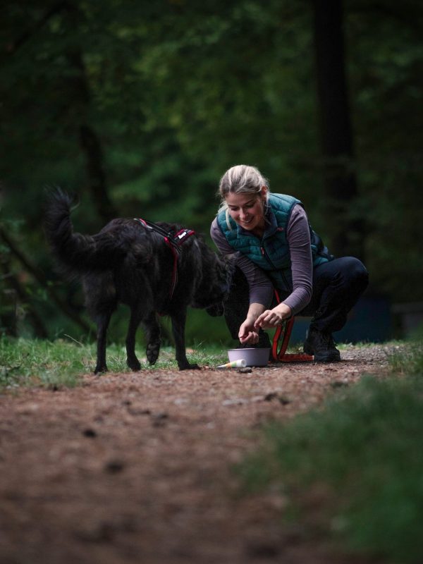 3351aa90-fa3c-4a97-bb41-3e9e3ff3fe6b